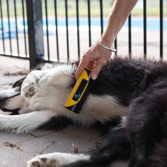PetClean DuoBrush – Fellpflege leicht gemacht