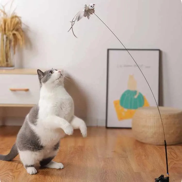 BirdPlay – Interaktives Katzenspielzeug mit Saugnapf